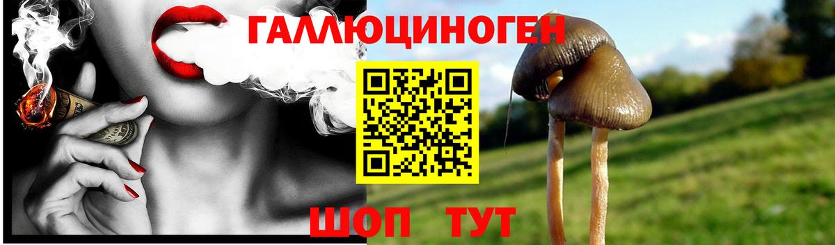Галлюциногенные грибы мицелий  наркотики  Домодедово  Галлюциногенные грибы MAGIC MUSHROOMS  Вход с VPN 